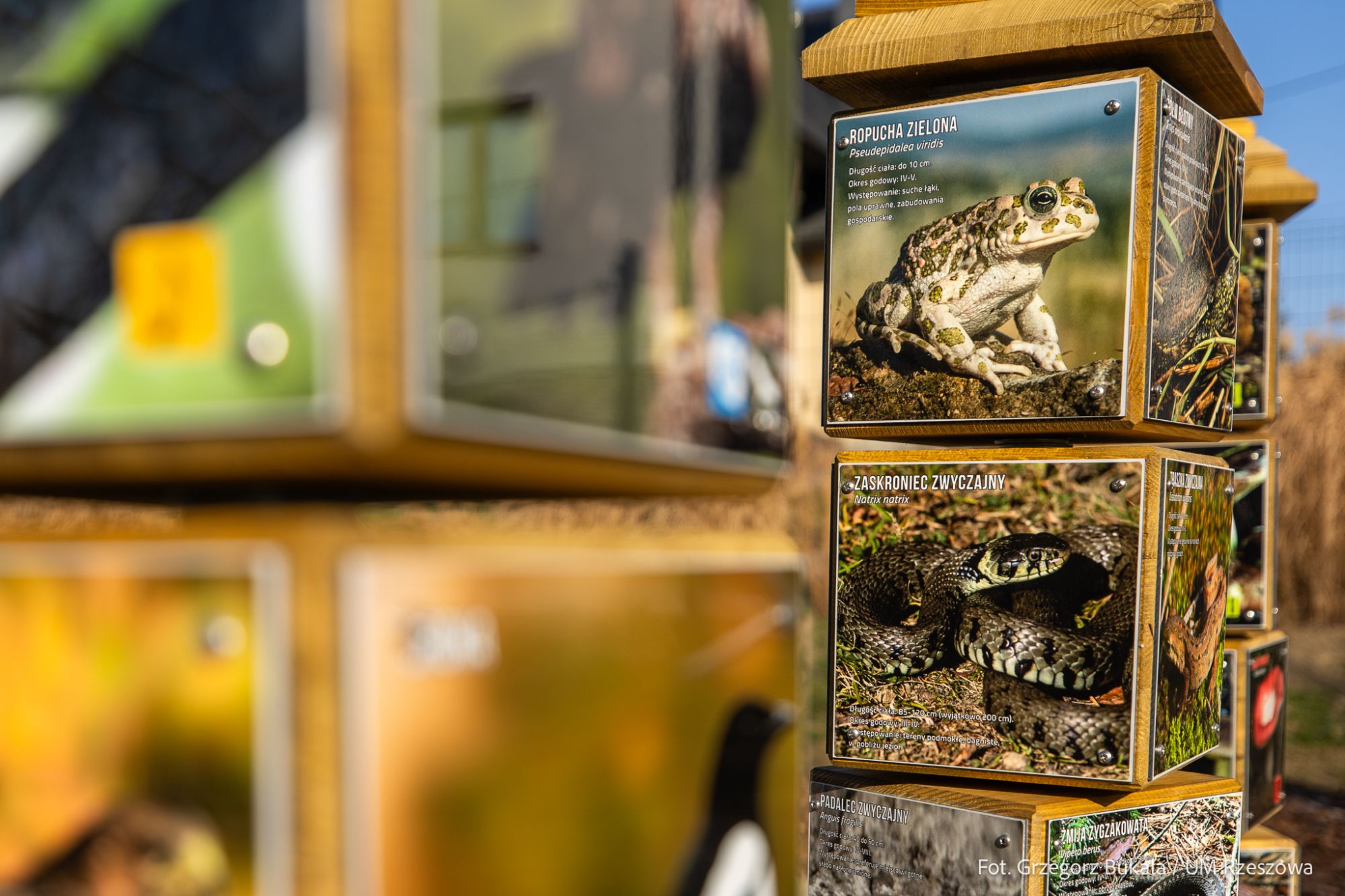 zdjęcie nowego parku w rejonie ulic Gajowej i Szkolnej w Rzeszowie, fot. Grzegorz Bukała, Urząd Miasta Rzeszowa